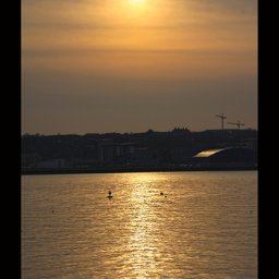 temp_ning_photo_file.jpeg