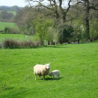 Aberglasney House, 9 Apr 2011