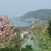 Mumbles Lighthouse in May