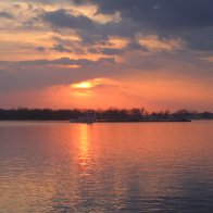 IMG_0443