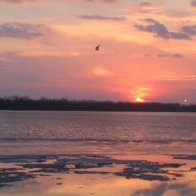 IMG_0448