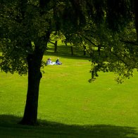 Cyfarthfa Park