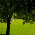 Cyfarthfa Park