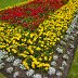 Flowers in Cyfarthfa Castle