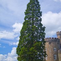 Cyfarthfa Castle