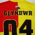 Glyndwr Rugby Shirt