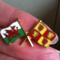 Cymru/Glyndwr Pin Badge