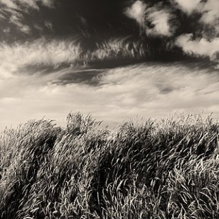 temp_ning_photo_file.jpeg