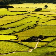 Farm In Rolling Landscape