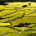 Farm In Rolling Landscape