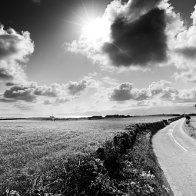 Sunlit Anglesey Lane