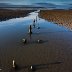 Blue View, Llanfairfechan