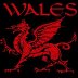 Welsh_Dragon_Wales_T-Shirt