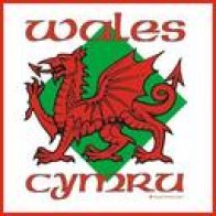 white-wales-cymru-dragon-t-shirt-6006272-0-1267193233000_reasonably_small