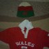 My Welsh Shirt & Hat