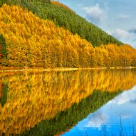 llyn Geirionydd reflections