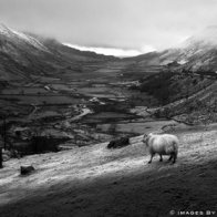 'First-snow' by Welsh Photographer, Graham Williams