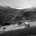 'First-snow' by Welsh Photographer, Graham Williams