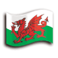 BANNER CYMRU