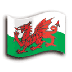 BANNER CYMRU