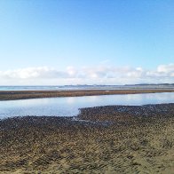 Photo0096