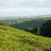 DERI  mountain Darren valley Ysgwyddgwyn