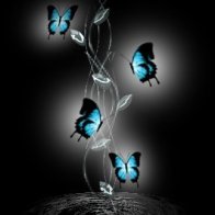 Water Butterflies