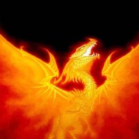 Dragon Phoenix