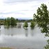 sturgeonLake3