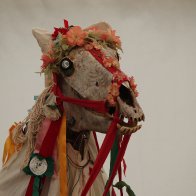 Mari Lwyd