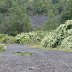 centralia8