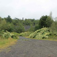 centralia12