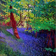 Bluebell Woods