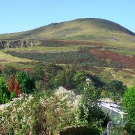 Greenfield and Bwlch