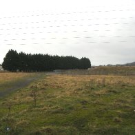 Stradey Grounds