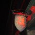 Owain Glyndwr Pub Night