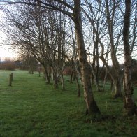 Along the Cycle Track