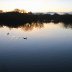 Old Castle Pond - Llanelli