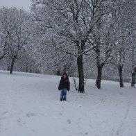 winter at hayley park