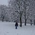 winter at hayley park
