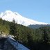 On The Road To Mt Hood