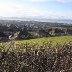 Gower and Llanelli Estuary from the Dell