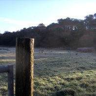 Steaming Post - Furnace