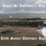 Dydd Santes Dwynwen Hapus / Happy St Dwynwen's Day