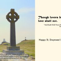 Dydd Santes Dwynwen Hapus / Happy St Dwynwen's Day