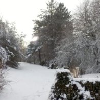 The long lawn at Blaenfforest in the snow