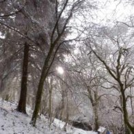 2013 Snow at Blaenfforest