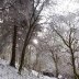 2013 Snow at Blaenfforest