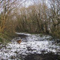 Road to Furnace Quarry