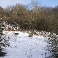 Furnace Quarry - In the Snow